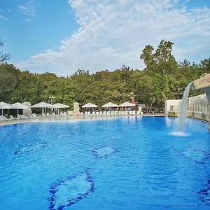 Hotel Forest